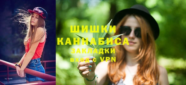 спиды Богородицк