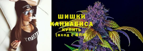 спиды Богородск