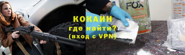 сатива Богданович