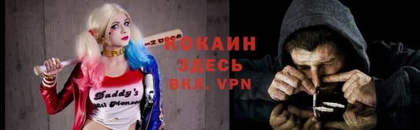 сатива Богданович