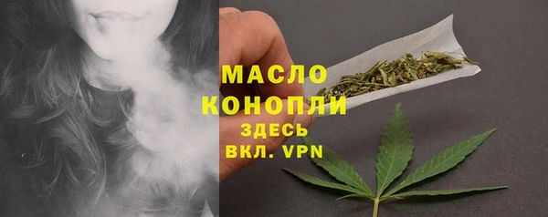 спиды Богородицк
