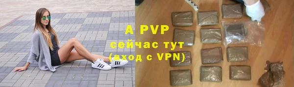 спиды Богородск