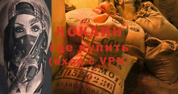 сатива Богданович