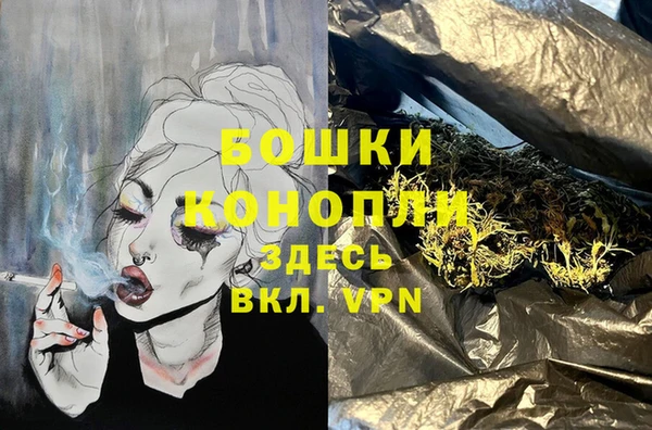 сатива Богданович