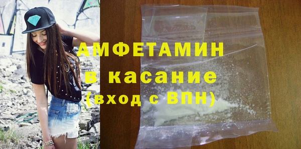 спиды Богородицк