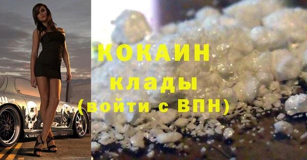 спиды Богородицк