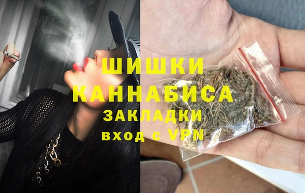 спиды Богородицк