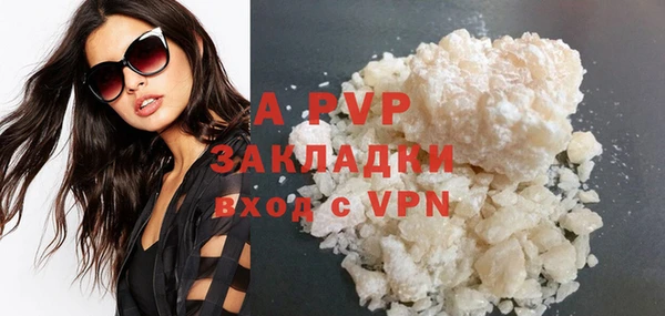 сатива Богданович