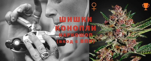 спиды Богородск