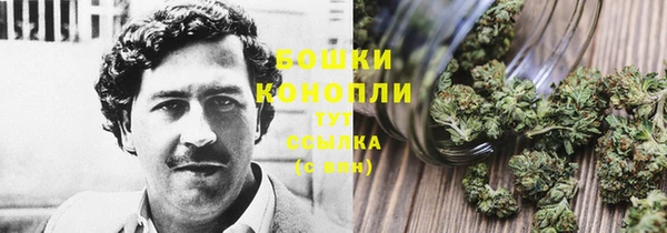 ПСИЛОЦИБИНОВЫЕ ГРИБЫ Белоозёрский