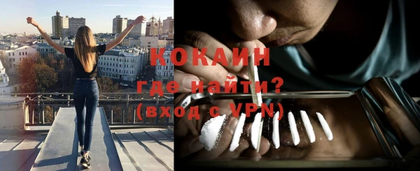 сатива Богданович