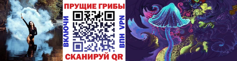 цена   Коммунар  Галлюциногенные грибы Psilocybe 